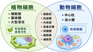 相关文生图